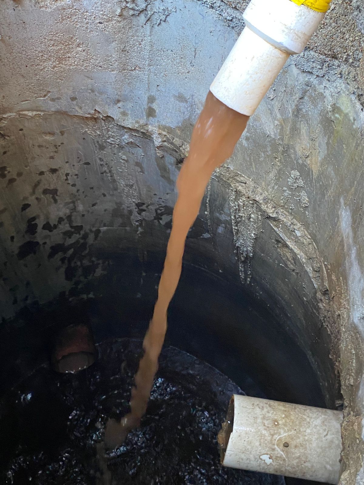 pexels-annija-mieze-427042079-15197931