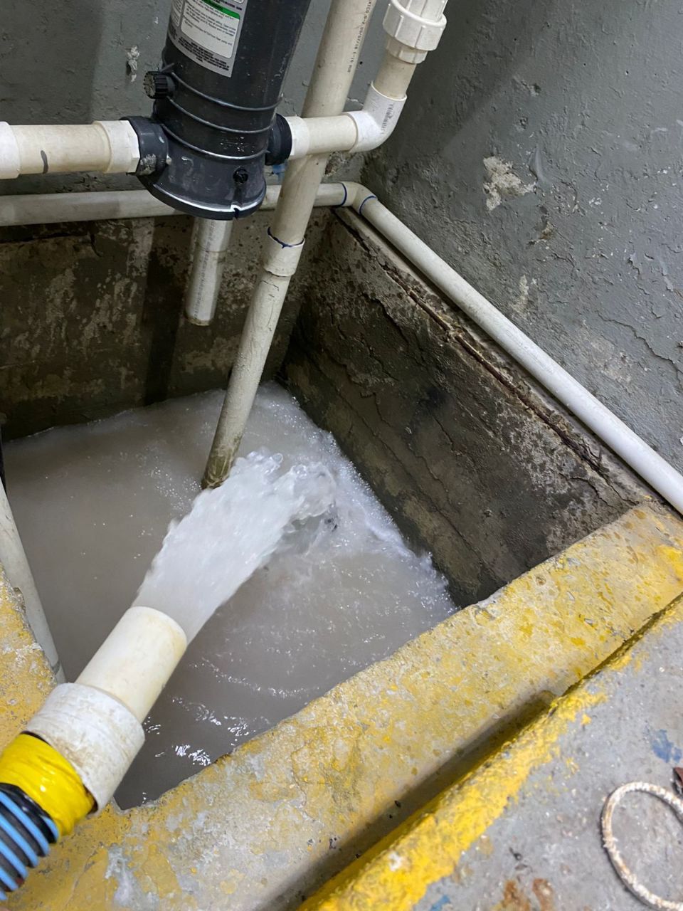 pexels-fariphotography-905847