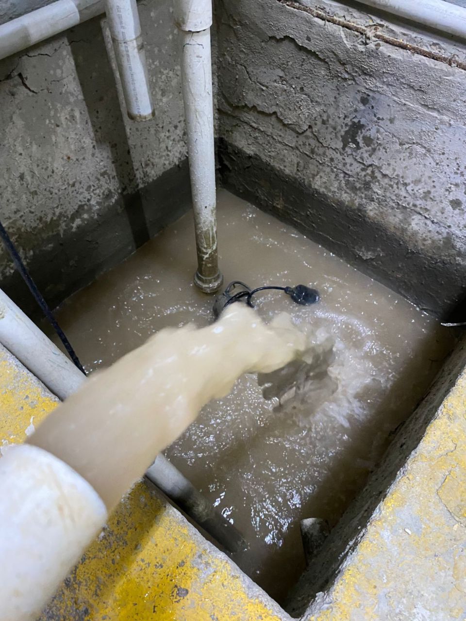 pexels-narda-yescas-724842-1566837