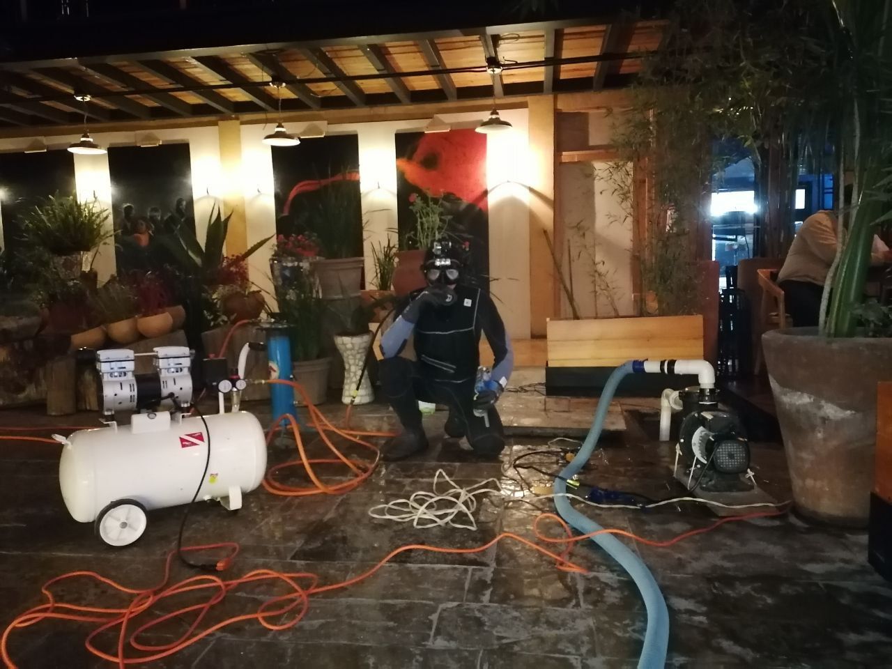 pexels-pixabay-262978