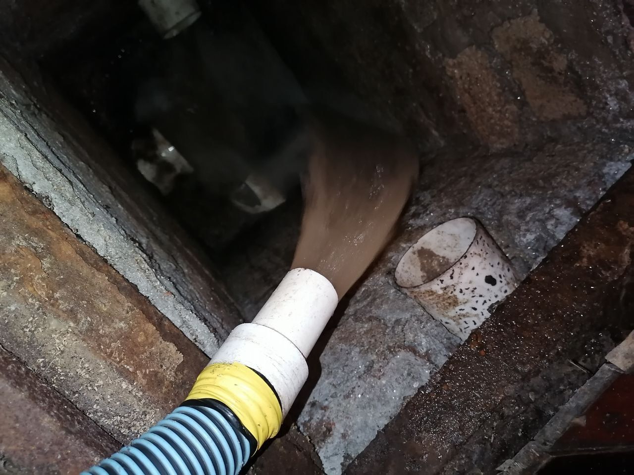 pexels-rachel-claire-5531424