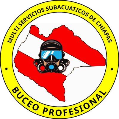 Multiservicios Subacuáticos de Chiapas - Logo de empresa líder en servicios de buceo industrial y limpieza de cisternas